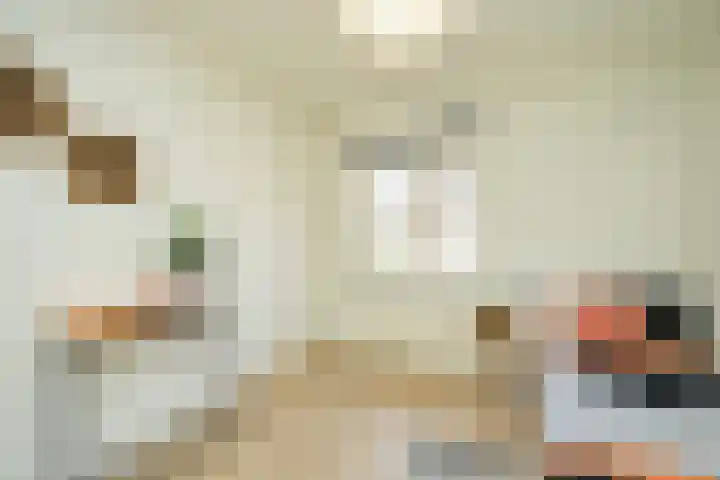 Beukenlaan 20 Molenhoek thumbnail 27
