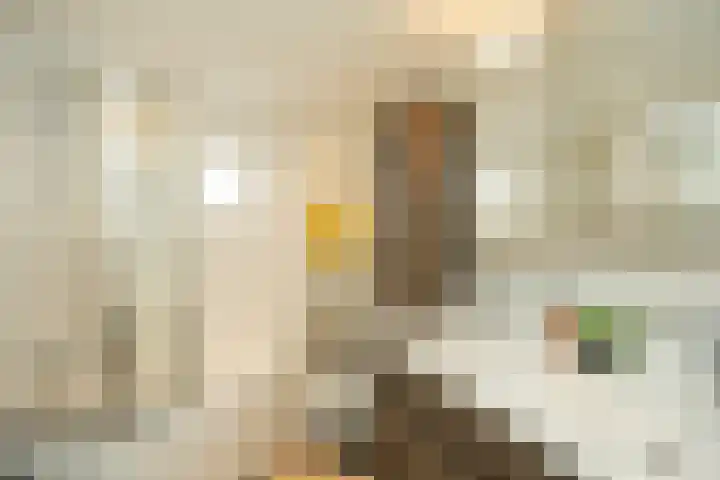 Beukenlaan 20 Molenhoek thumbnail 28