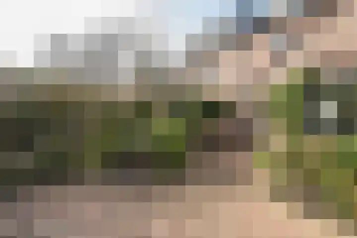 Beukenlaan 20 Molenhoek thumbnail 39