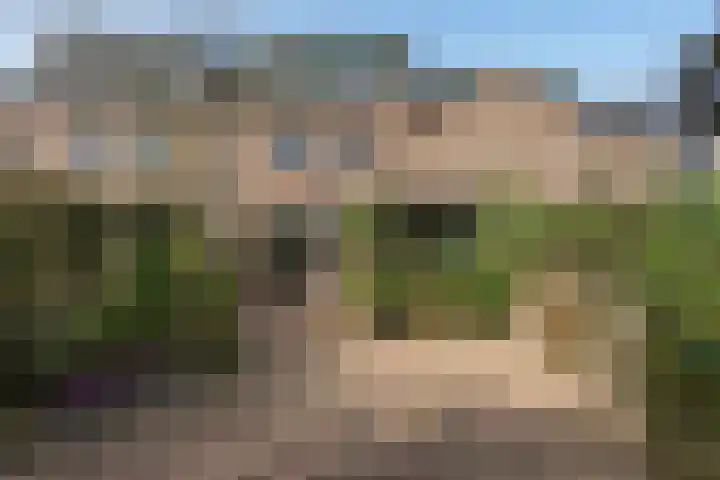 Beukenlaan 20 Molenhoek thumbnail 4