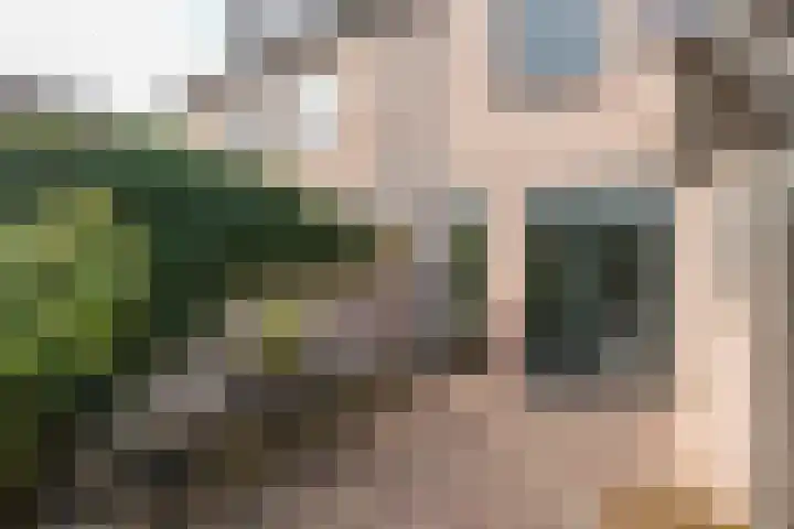 Beukenlaan 20 Molenhoek thumbnail 40