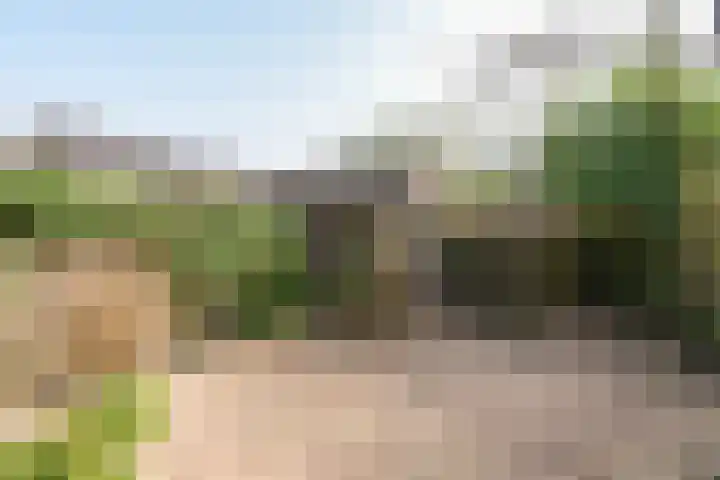 Beukenlaan 20 Molenhoek thumbnail 41