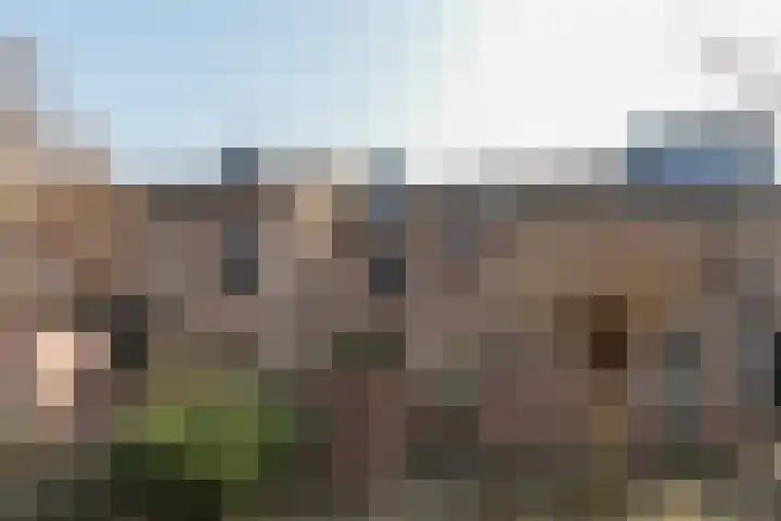 Beukenlaan 20 Molenhoek thumbnail 44