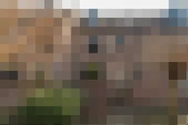 Beukenlaan 20 Molenhoek thumbnail 5