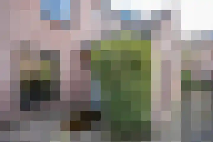 Beukenlaan 20 Molenhoek thumbnail 6