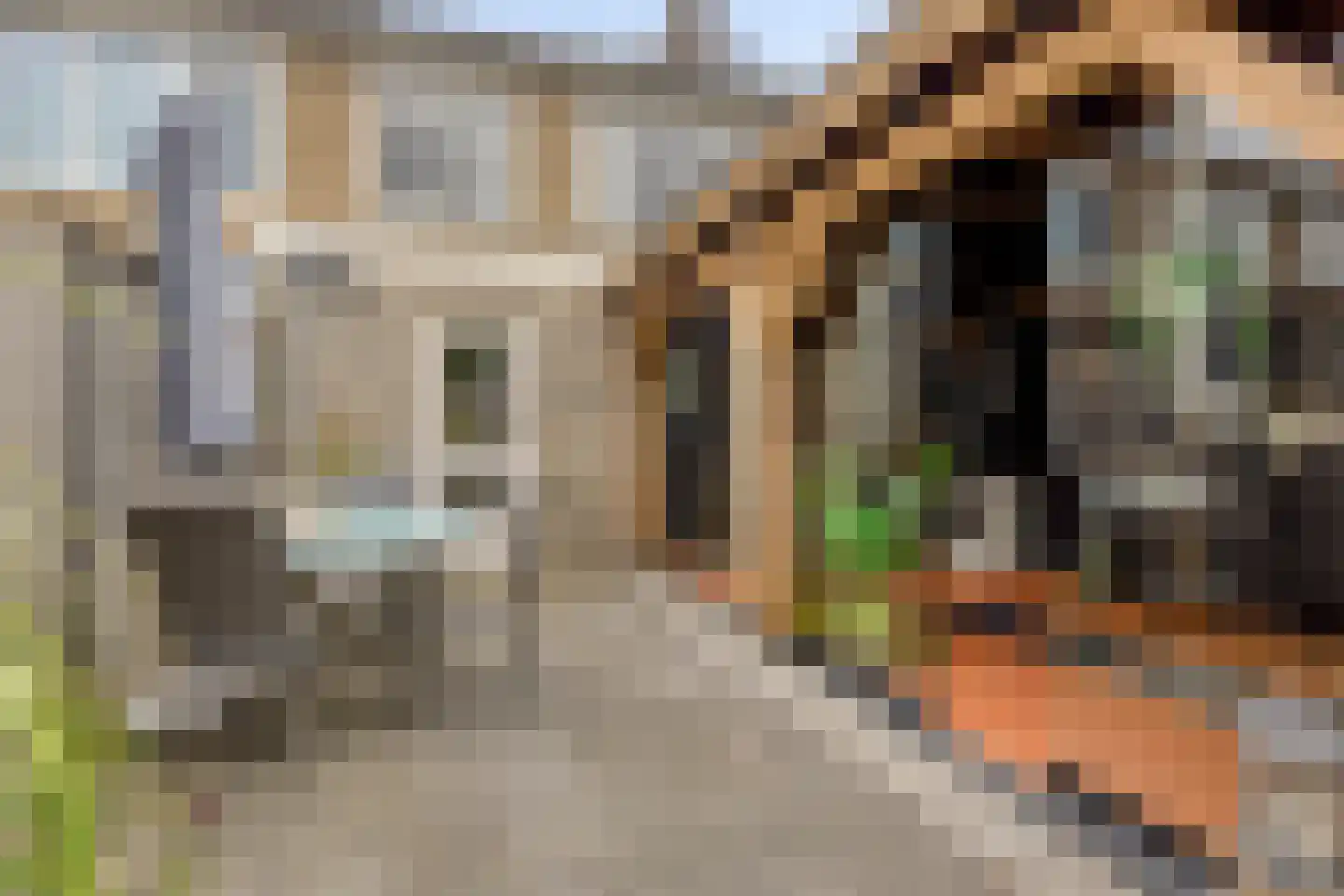 Beukenlaan 21 Geesbrug thumbnail 23