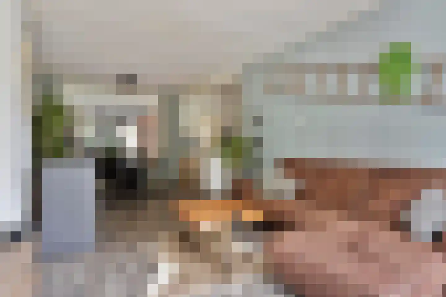 Beukenlaan 21 Geesbrug thumbnail 4