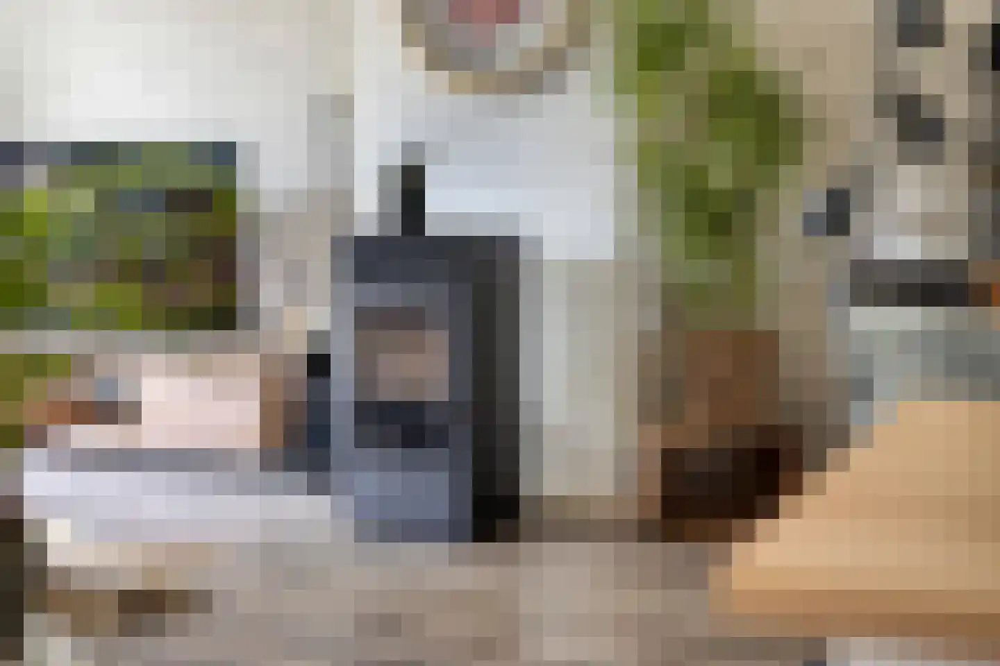 Beukenlaan 21 Geesbrug thumbnail 5
