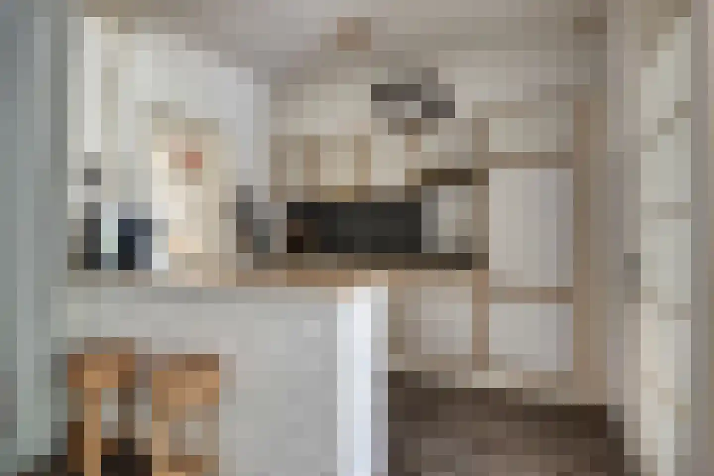 Beukenlaan 21 Geesbrug thumbnail 8