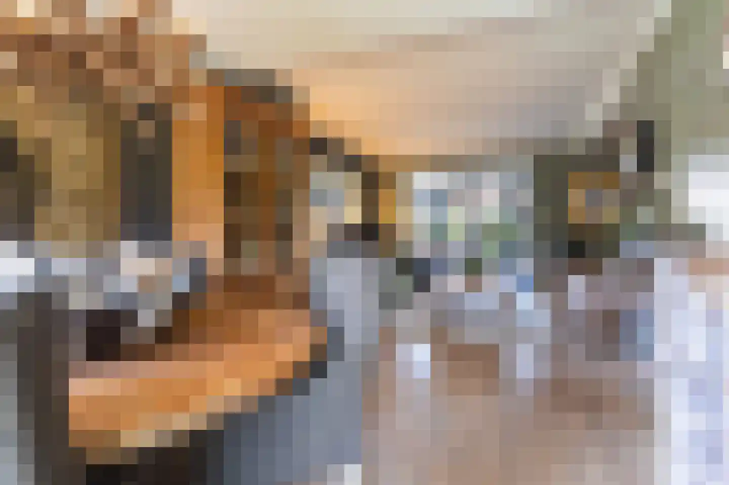 Beukenlaan 21 Middenmeer thumbnail 12