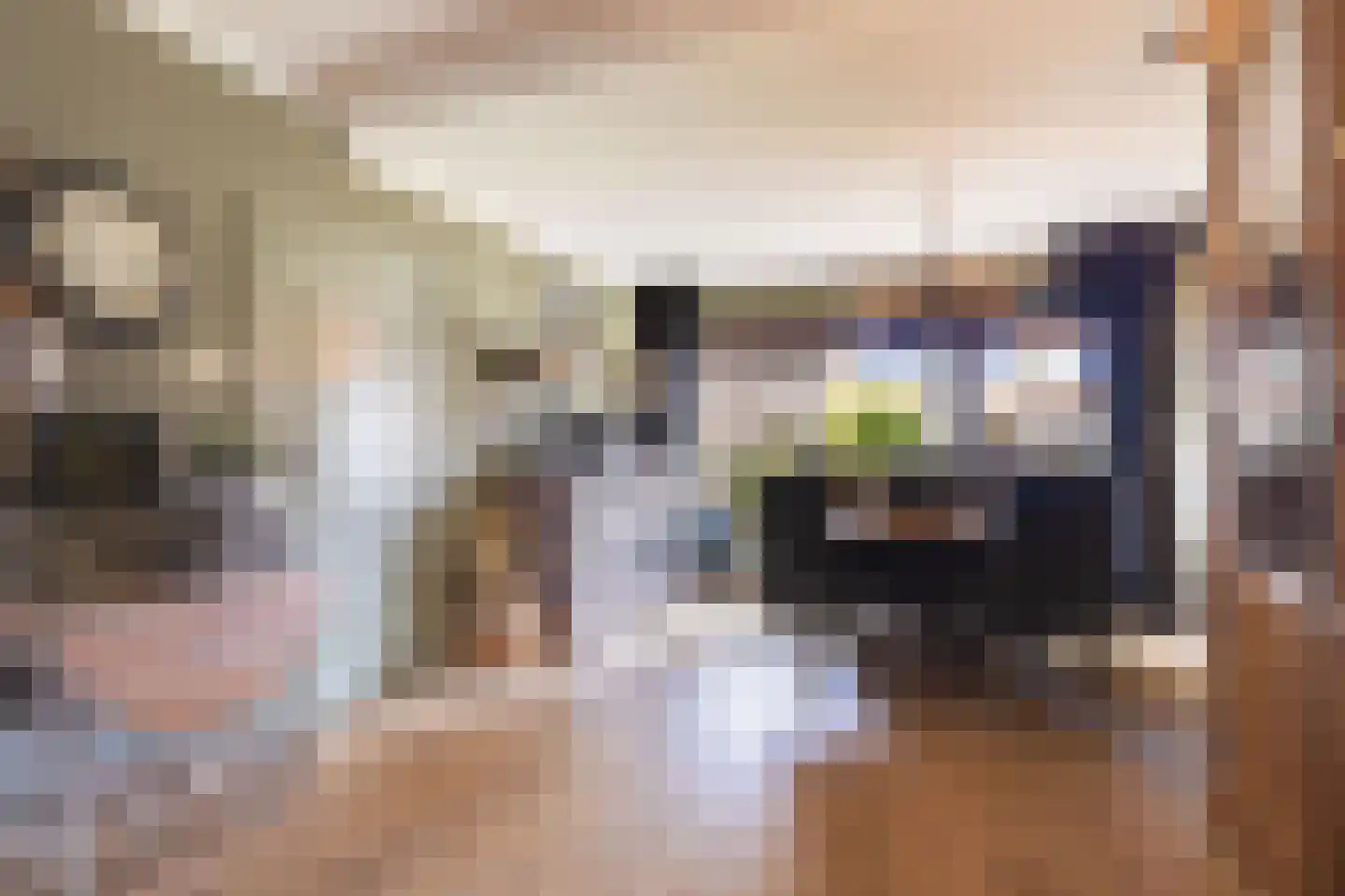 Beukenlaan 21 Middenmeer thumbnail 15