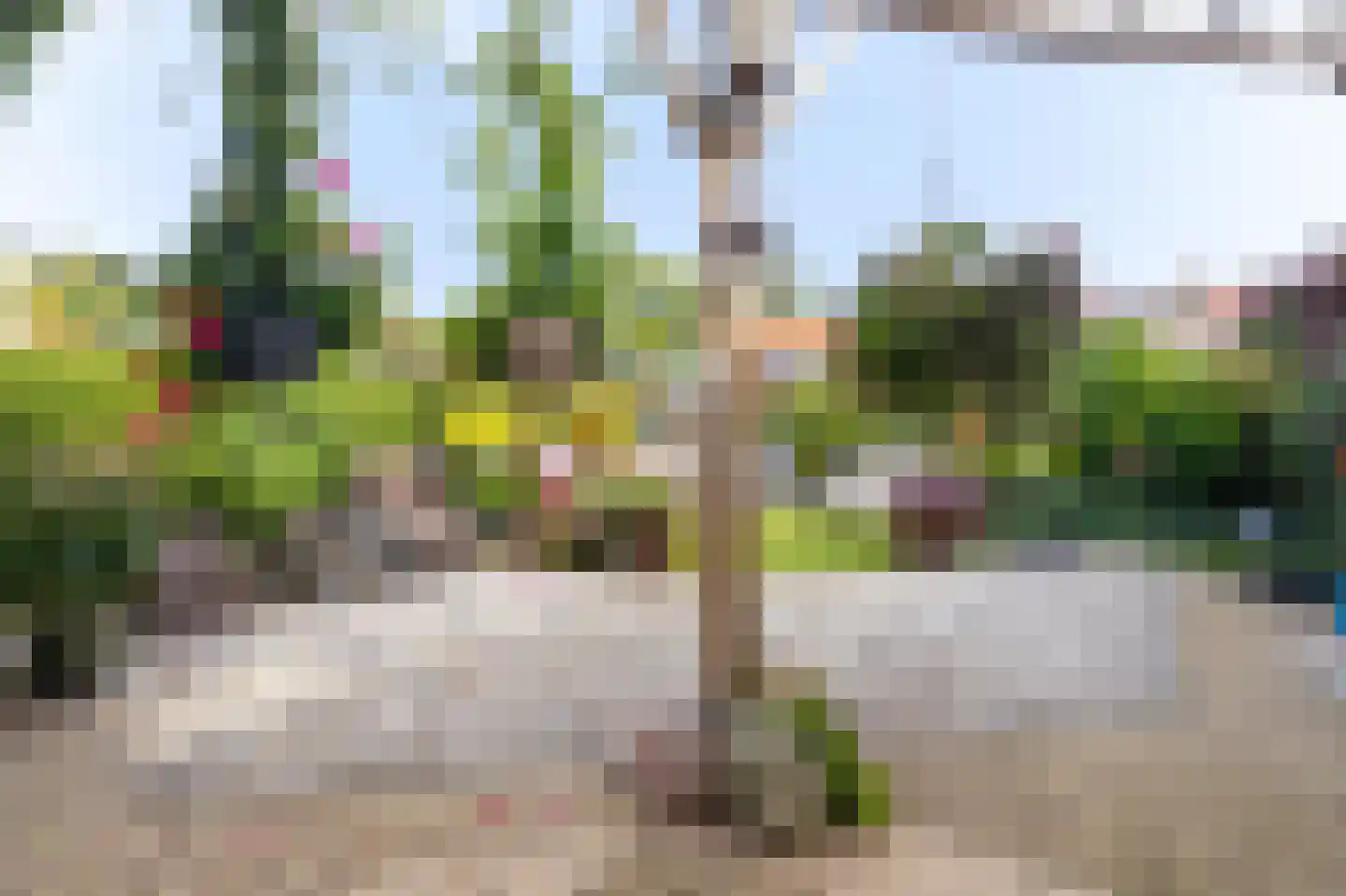 Beukenlaan 21 Middenmeer thumbnail 43