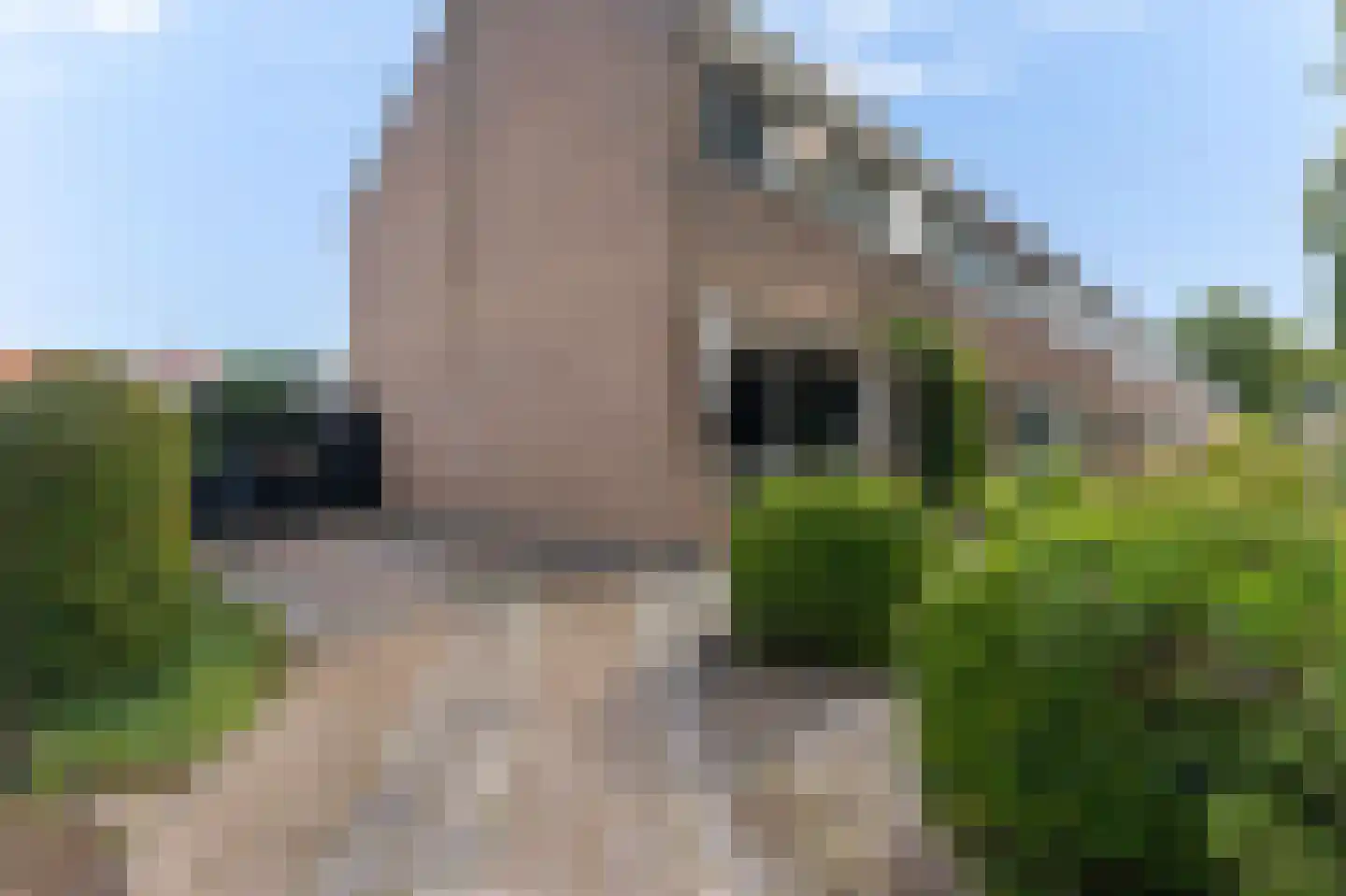 Beukenlaan 21 Middenmeer thumbnail 6