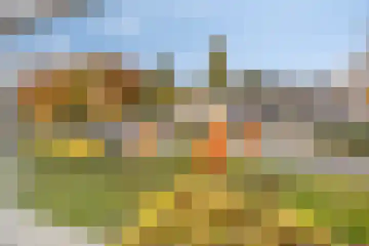 Beukenlaan 22 Borculo thumbnail 14