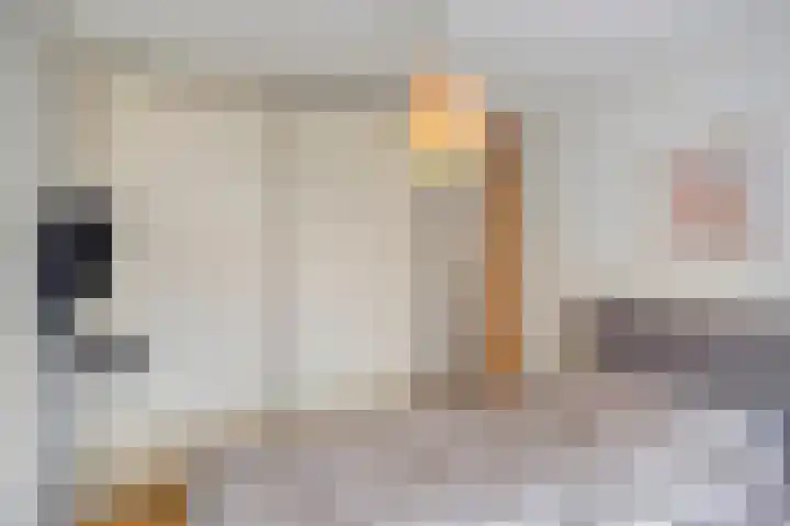 Beukenlaan 22 Borculo thumbnail 15