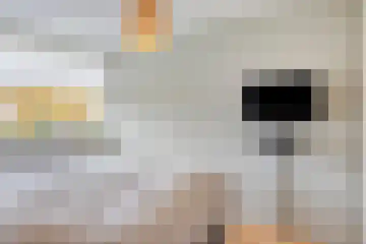 Beukenlaan 22 Borculo thumbnail 16