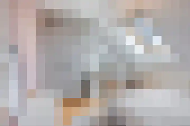 Beukenlaan 22 Borculo thumbnail 22