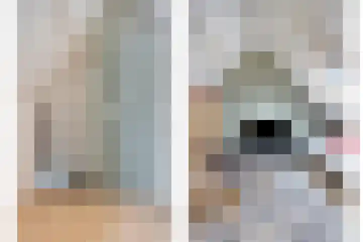 Beukenlaan 22 Borculo thumbnail 24