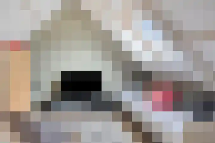 Beukenlaan 22 Borculo thumbnail 26