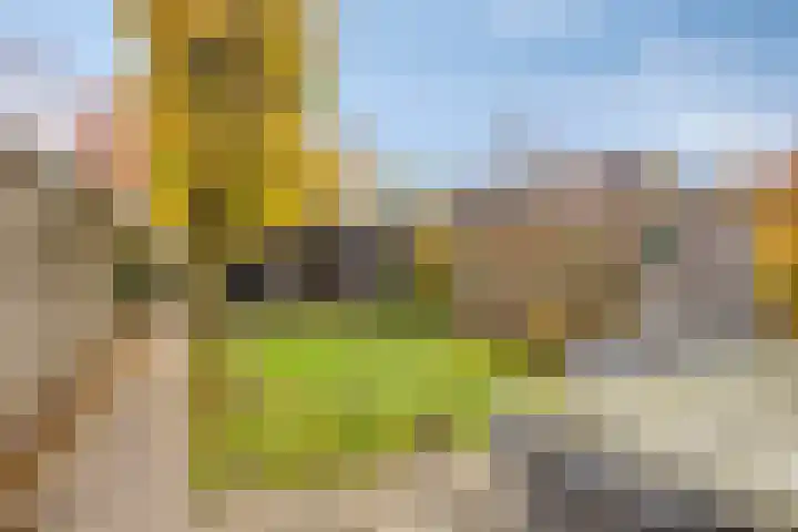Beukenlaan 22 Borculo thumbnail 31