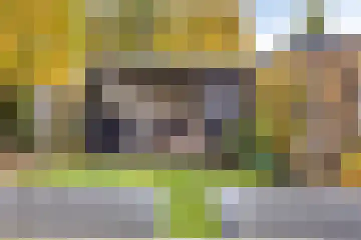 Beukenlaan 22 Borculo thumbnail 33