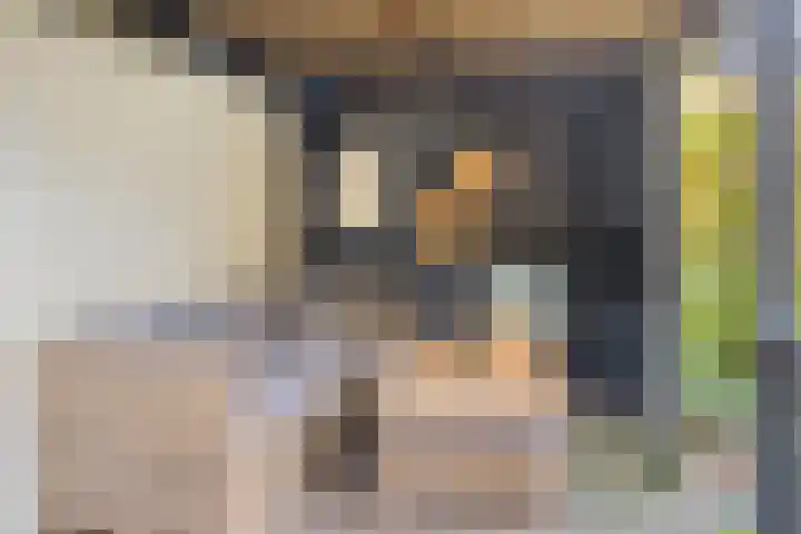 Beukenlaan 22 Borculo thumbnail 35