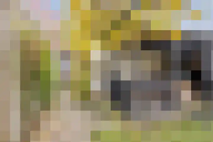 Beukenlaan 22 Borculo thumbnail 38