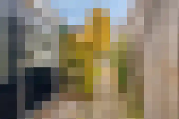 Beukenlaan 22 Borculo thumbnail 39