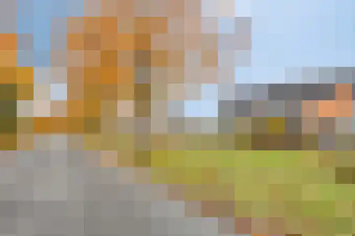 Beukenlaan 22 Borculo thumbnail 40