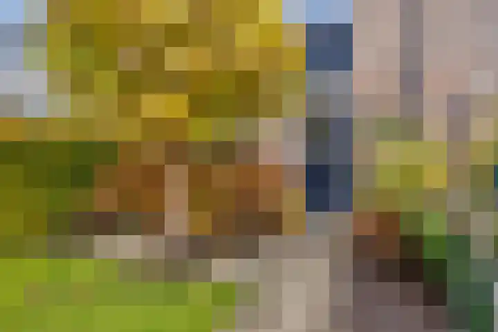 Beukenlaan 22 Borculo thumbnail 41