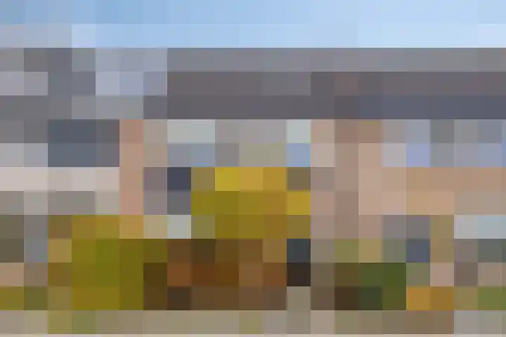 Beukenlaan 22 Borculo thumbnail 42
