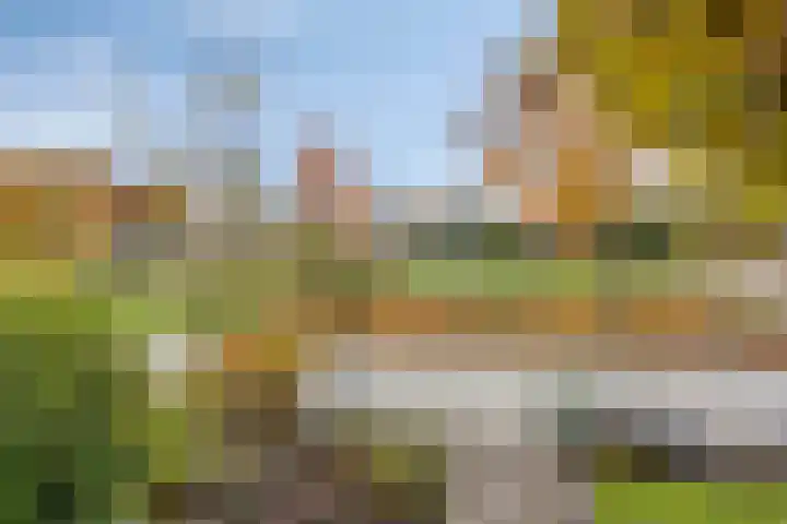 Beukenlaan 22 Borculo thumbnail 45