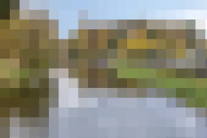Beukenlaan 22 Borculo thumbnail 46