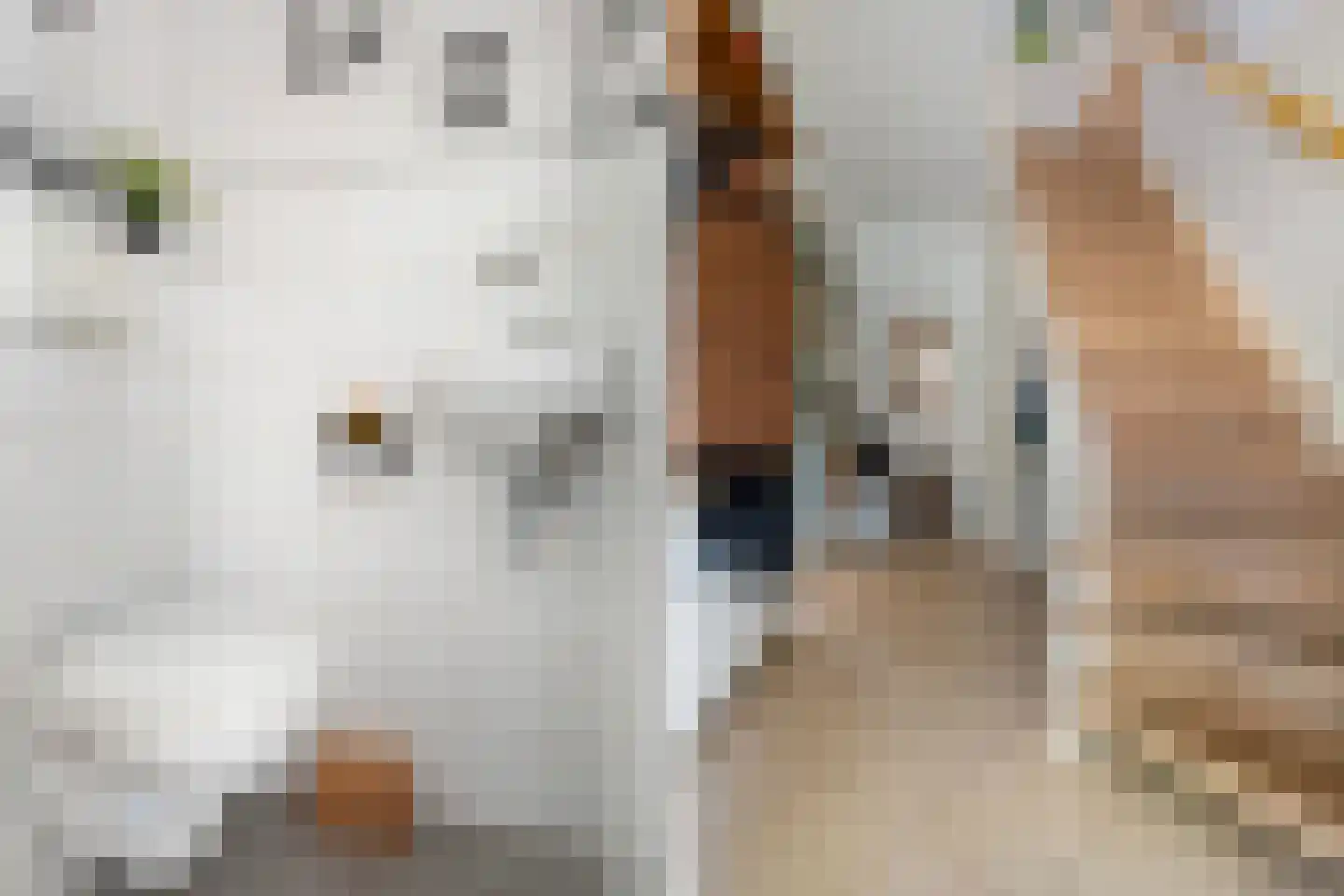 Beukenlaan 22 Eibergen thumbnail 10