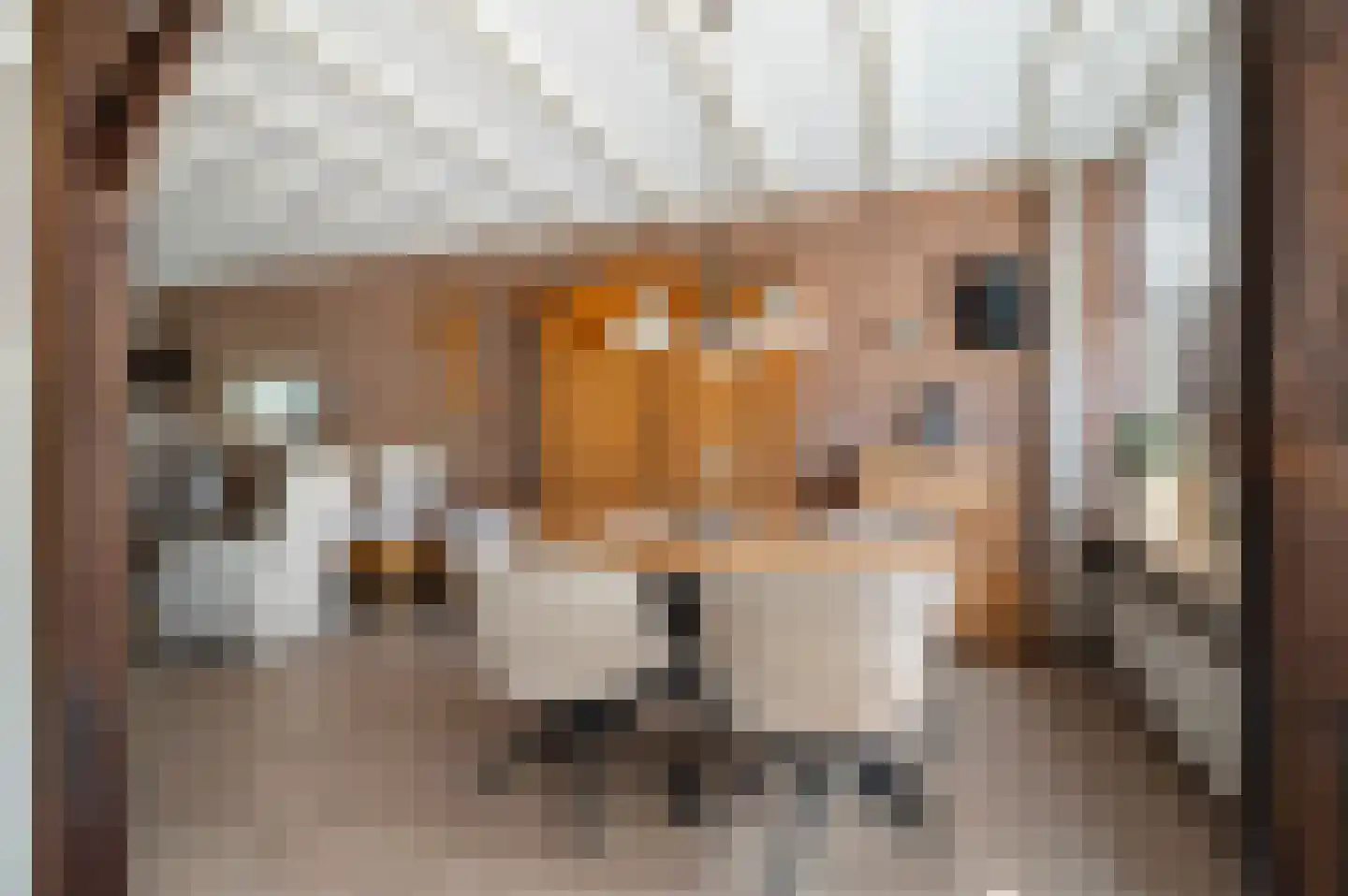 Beukenlaan 22 Eibergen thumbnail 13