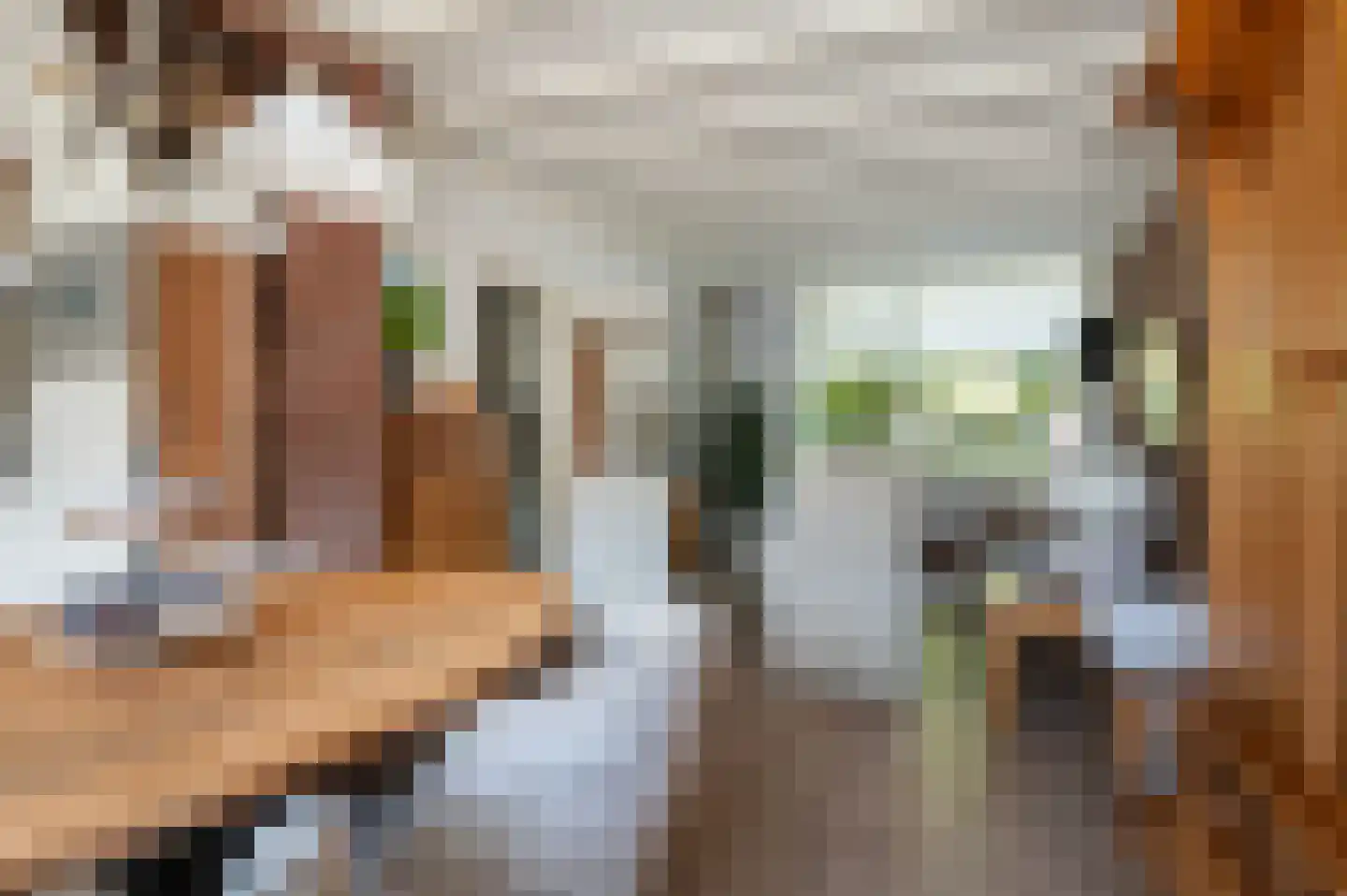 Beukenlaan 22 Eibergen thumbnail 14
