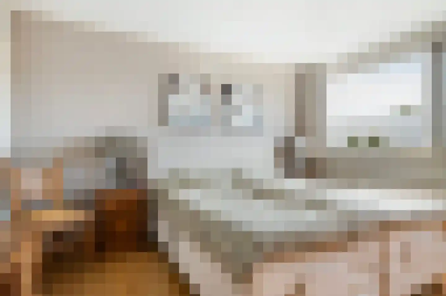 Beukenlaan 22 Eibergen thumbnail 17