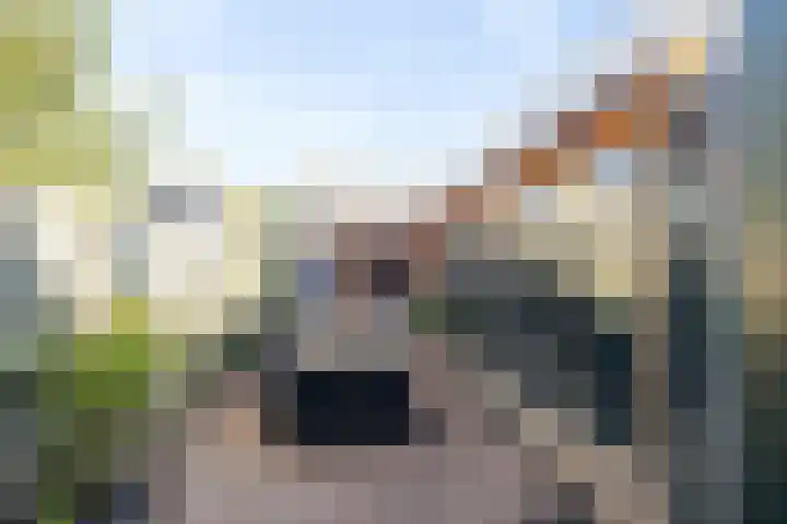 Beukenlaan 22 Wieringerwaard thumbnail 15