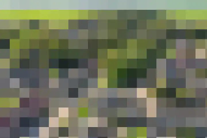 Beukenlaan 22 Wieringerwaard thumbnail 32