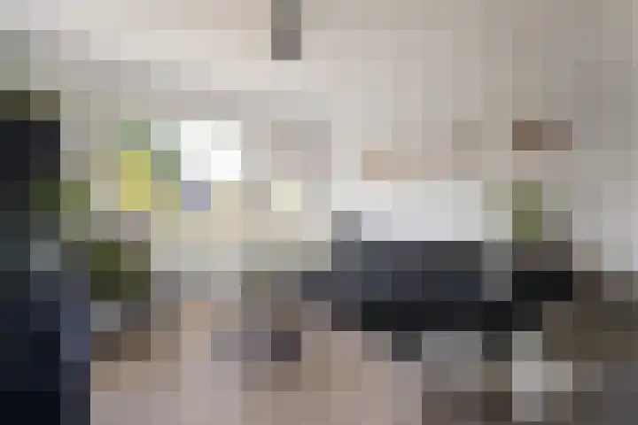 Beukenlaan 22 Wieringerwaard thumbnail 6