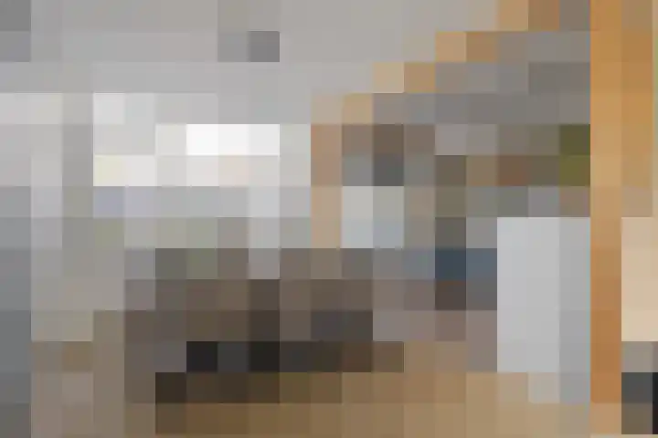 Beukenlaan 22 Wieringerwaard thumbnail 8