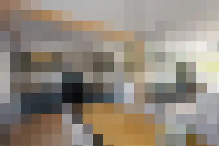 Beukenlaan 22 Wieringerwaard thumbnail 9
