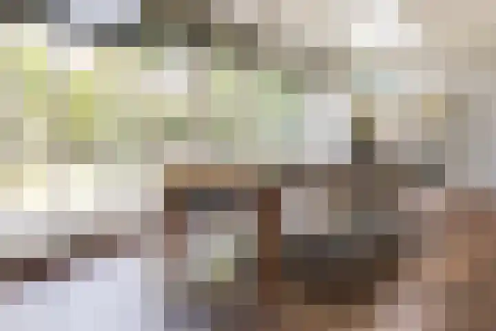 Beukenlaan 221 Bleiswijk thumbnail 16