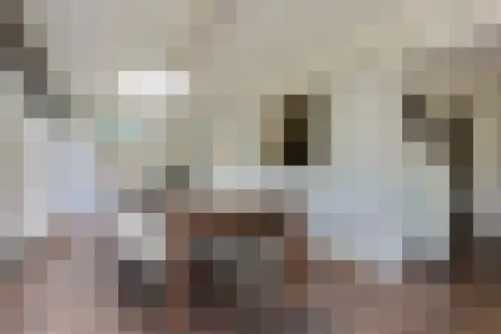 Beukenlaan 221 Bleiswijk thumbnail 17