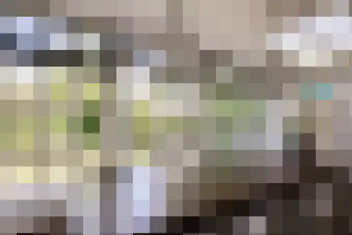 Beukenlaan 221 Bleiswijk thumbnail 18