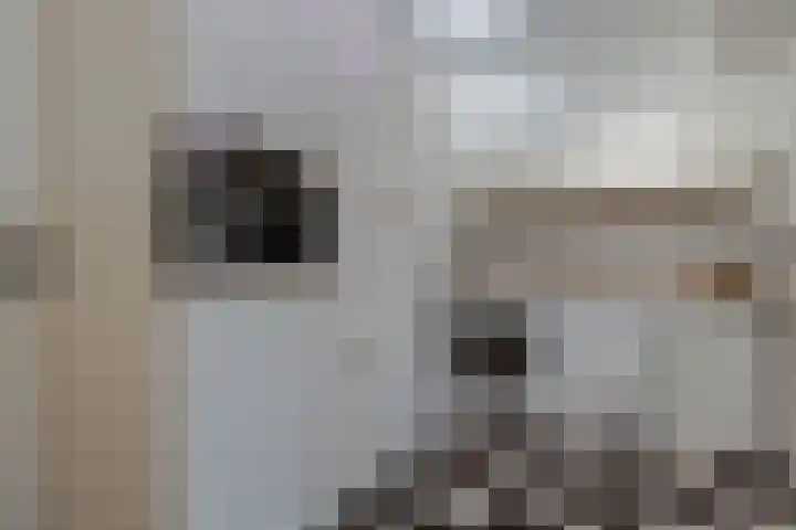 Beukenlaan 221 Bleiswijk thumbnail 21