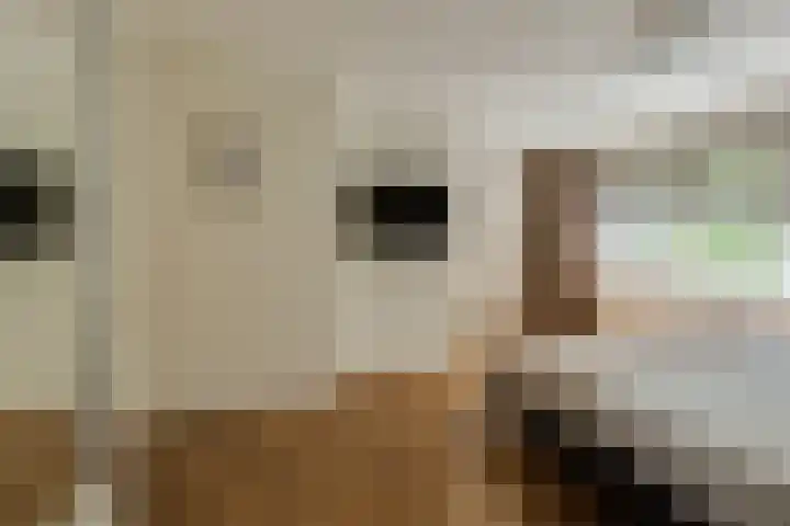 Beukenlaan 221 Bleiswijk thumbnail 25