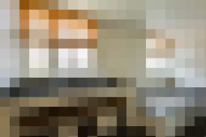 Beukenlaan 221 Bleiswijk thumbnail 26
