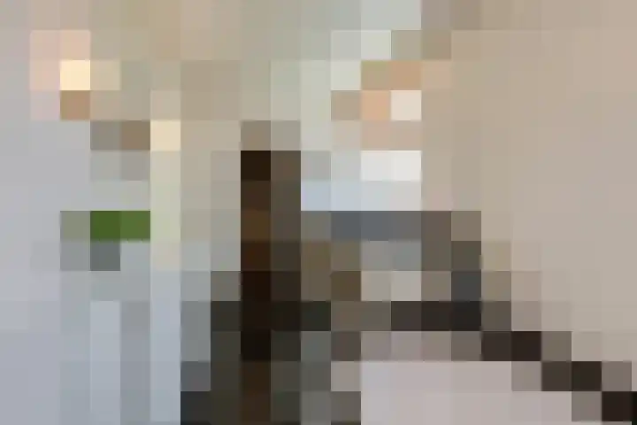 Beukenlaan 221 Bleiswijk thumbnail 28