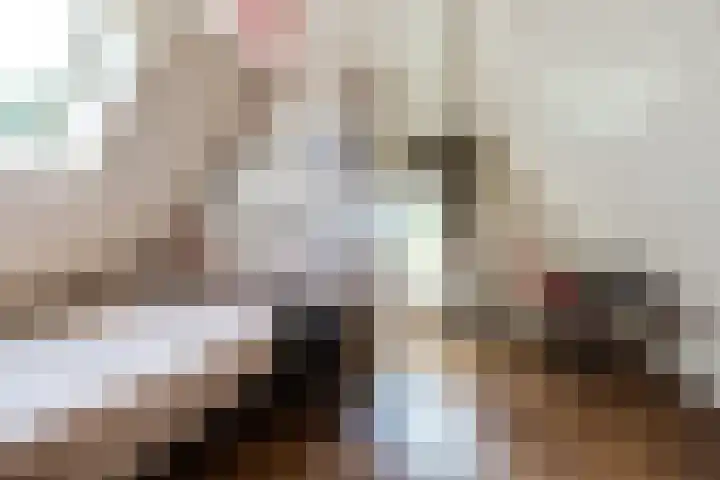 Beukenlaan 221 Bleiswijk thumbnail 35